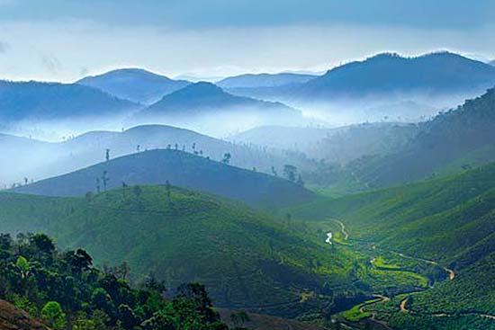 Chat with Nilgiris (Ooty) Photographers on Studio Chat