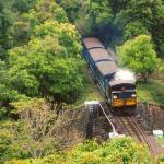 Chat with Nilgiris (Ooty) Photographers on Studio Chat