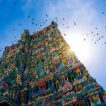 Chat with Madurai Photographers on Studio Chat